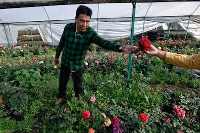 Día de San Valentín: los países con más infieles, ¿qué lugar ocupa México?