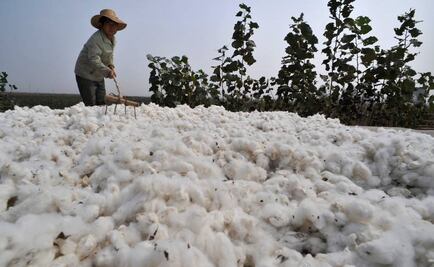 Efemérides 7 de octubre: Lo que pasó un día como hoy