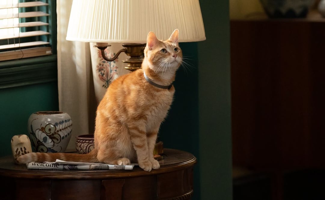 Goose, un gatito naranja que acompañó durante toda su aventura a la heroína, Carol Danvers (Brie Larson).