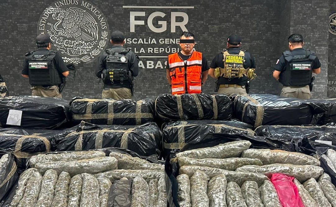 Decomisan más de una tonelada de marihuana en Tabasco. Foto: Especial