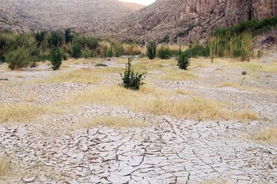 Muere agente de la Patrulla Fronteriza en Texas 