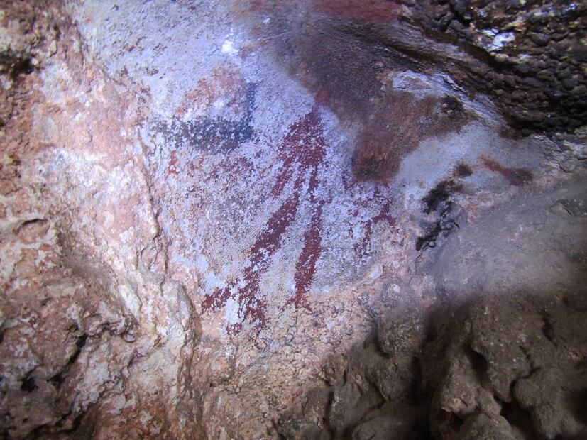Foto: Complejo Ecoturístico Zona del Silencio