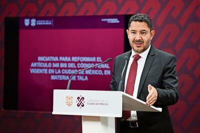 Plantean de 6 a 20 años de cárcel por tala ilegal