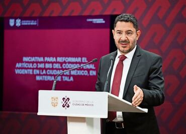 Plantean de 6 a 20 años de cárcel por tala ilegal