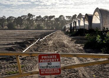 FOTOS: Campos de cultivo de California se quedan sin jornaleros; temen ser detenidos y deportados