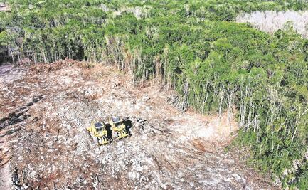 No van a detenernos, dice AMLO tras freno a Tramo 5 Sur