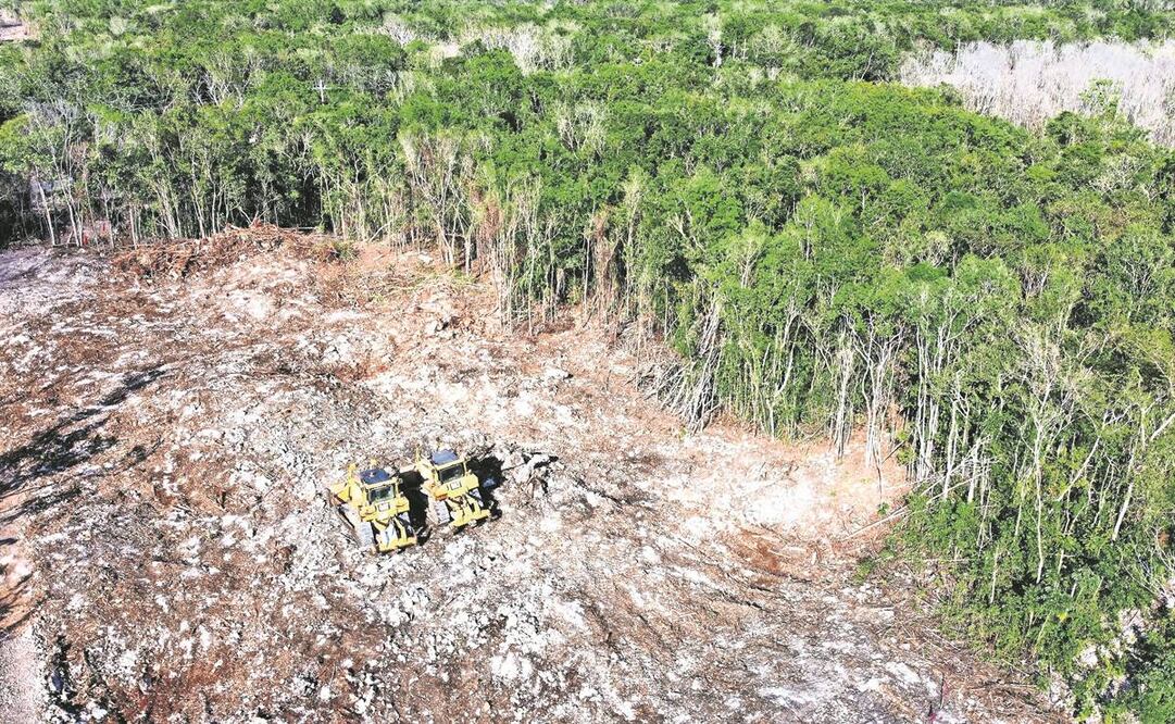 La construcción del Tramo 5 Sur del Tren Maya, que se ubica entre Playa del Carmen y Tulum, fue detenida temporalmente por decreto judicial. Foto: Archivo EL UNIVERSAL