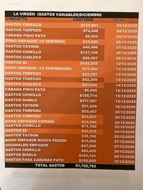 Los documentos que han nutrido las investigaciones periodísticas sobre la
narconómina de El Mencho fueron hallados en Tapalpa.