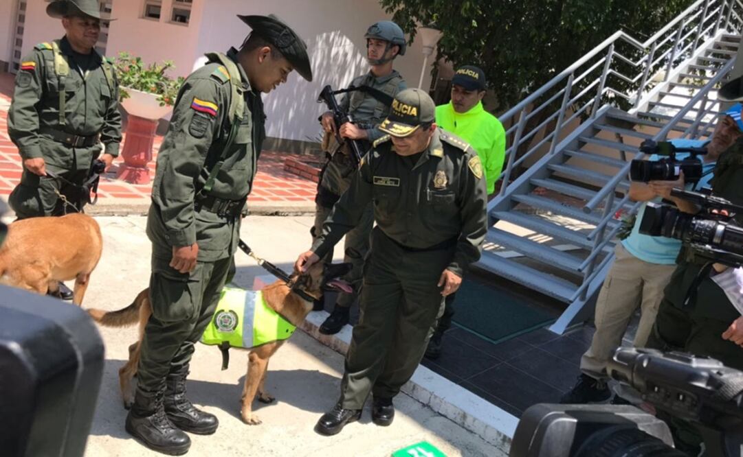 "Orión", un perro adiestrado para detectar drogas, ayudó a descubrir el cargamento en el puerto de Santa Marta, Colombia (Foto: @PoliciaColombia)