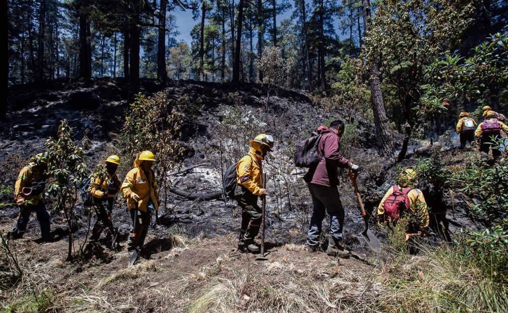 Un grupo de 102 brigadistas lucharon contra un incendio que devastó 200 hectáreas en el paraje Los Espejuelos. Foto: Gabriel Pano / EL UNIVERSAL