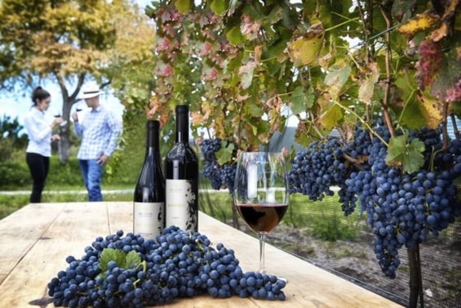 Escapadas por menos de 10 mil pesos en siete lugares de México