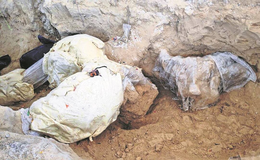 Entre los restos hay un colmillo casi completo, una segunda rota por una retroexcavadora, el cráneo fragmentado, 70% de la pelvis y pedazos de costillas. Fotos: Cortesía INAH.