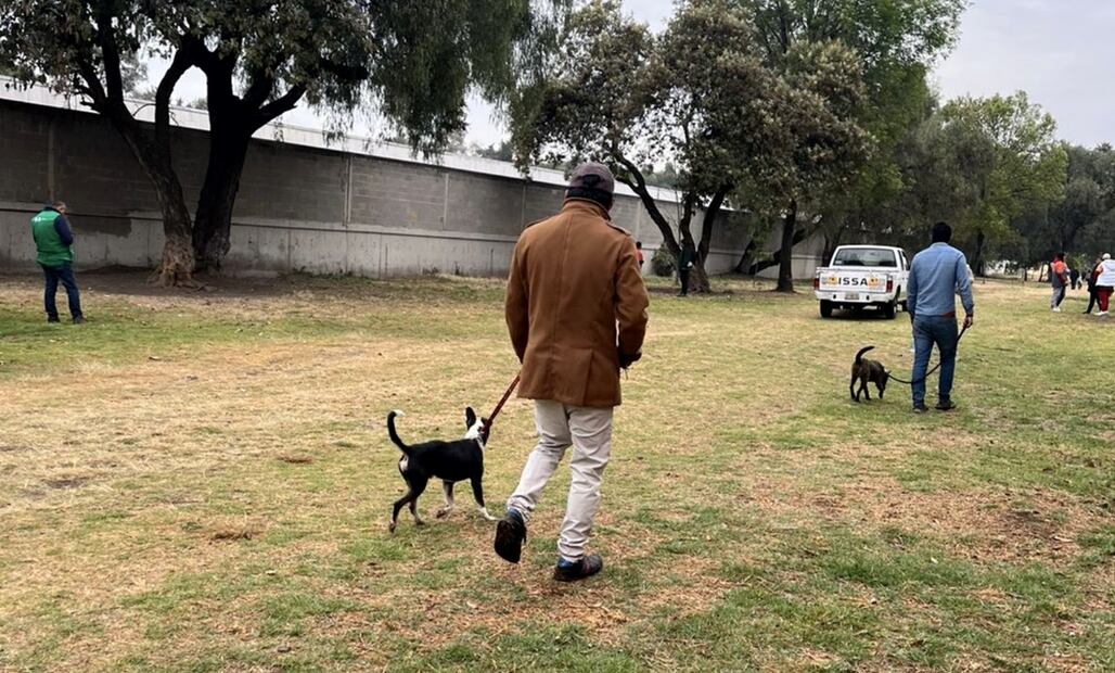 Sanciones por faltas cívicas. Foto: especial