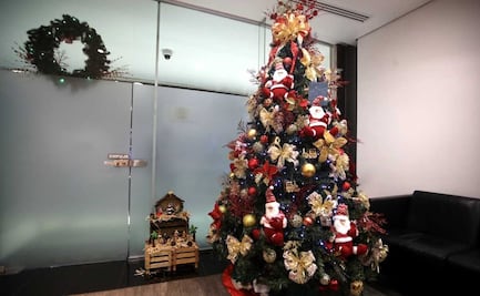 Pide árbol de Navidad por internet en diciembre y lo devuelve en enero