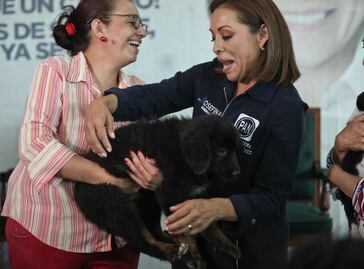 Josefina adopta can; va contra maltrato animal