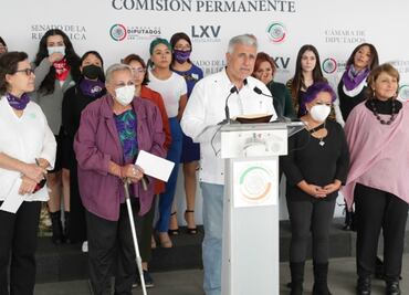 Senador Narro y colectivos de mujeres proponen prohibir gestación subrogada