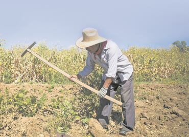 Diputados quitan 326.6 mdp al agro oaxaqueño