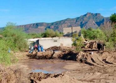 Buscadoras encuentran al menos 14 cuerpos en fosas clandestinas en Guaymas, Sonora