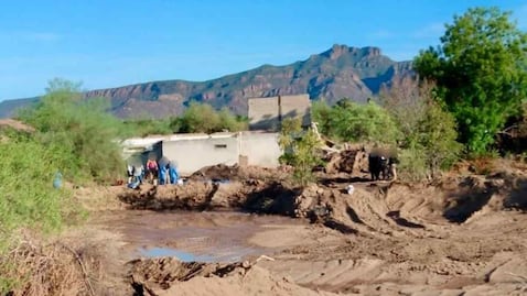 Buscadoras encuentran al menos 14 cuerpos en fosas clandestinas en Guaymas, Sonora