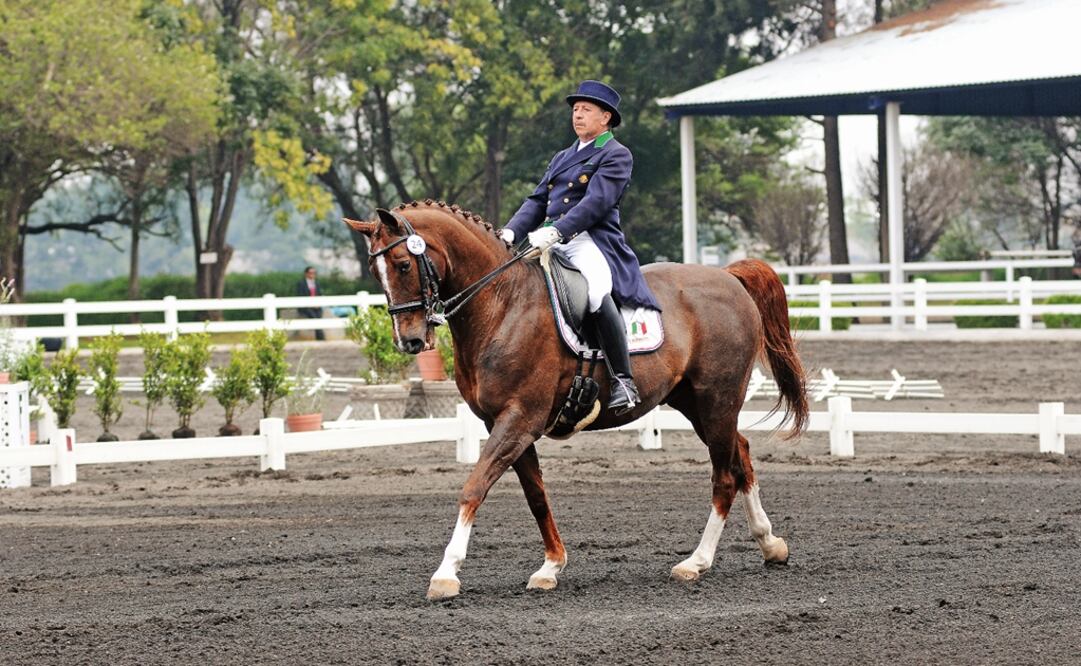 Francisco Pasquel won the gold in the show jump category, Mónica Burssens added two silver medals in the Dressage category, and Mariana Quintana won the bronze in the same trial - Photo: Luis Olivares Alarcón/Clase Magazine