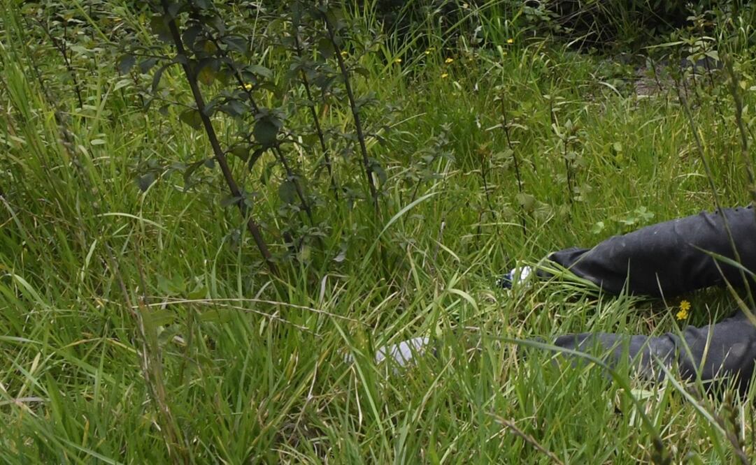 Fotografía: Archivo