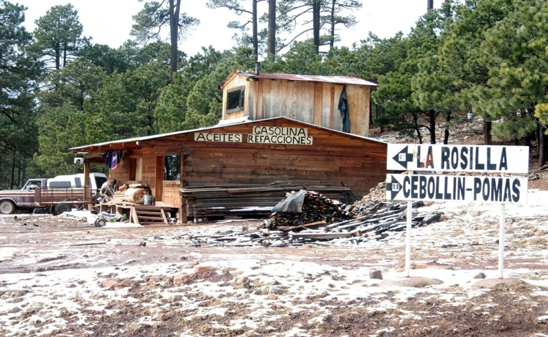 Foto: Notimex/ Archivo    