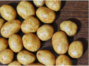 ¿Sabías qué? Los cacahuates japoneses son originarios de México