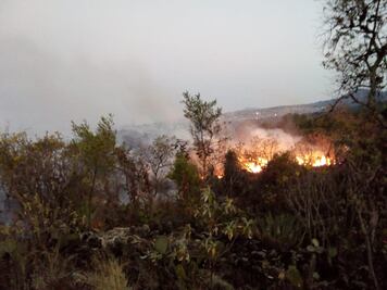 Reportan 3 incendios de pastizal en la Ciudad de México