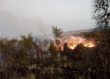 Reportan 3 incendios de pastizal en la Ciudad de México