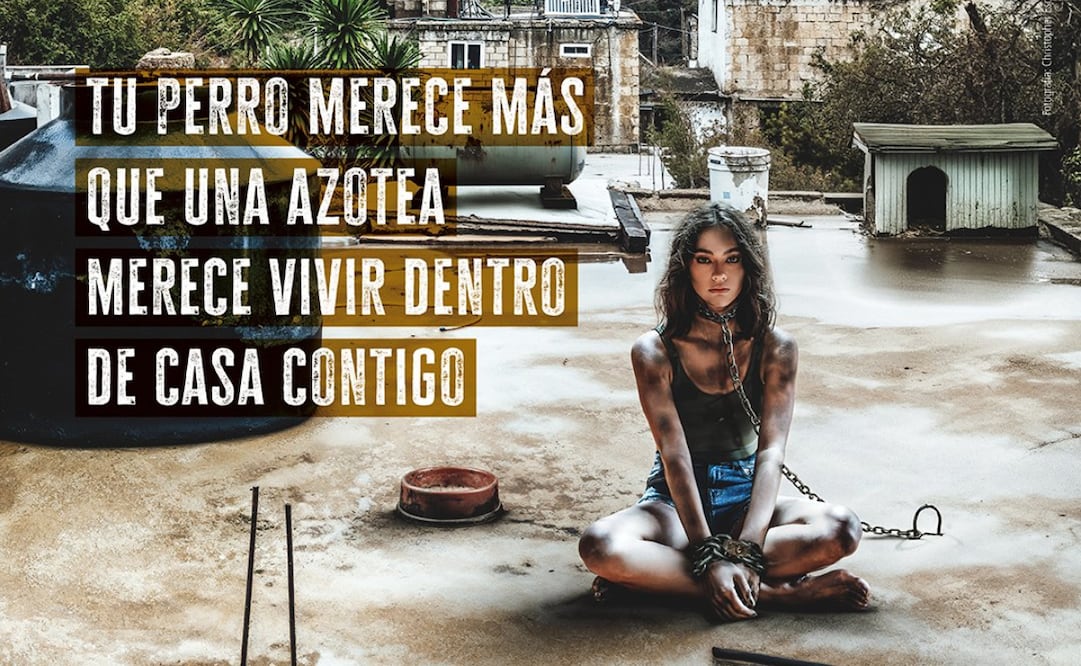 La actriz mexicana protagoniza la nueva campaña de PETA Latino en contra del abandono de perros en azoteas. Foto: PETA Latino