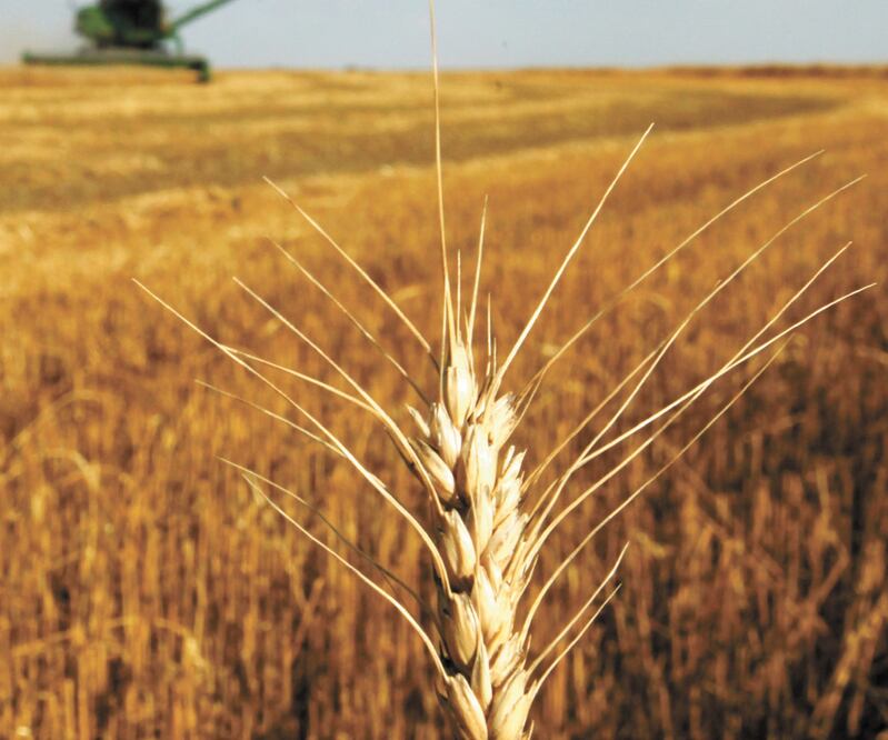 Foto: Archivo El Universal