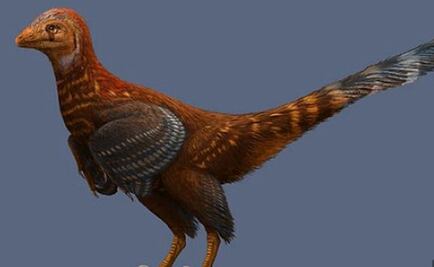 Descubren el fósil de una nueva especie de dinosaurio con plumas
