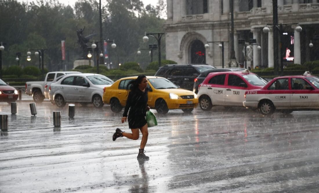 Foto: Yadín Xolalpa / EL UNIVERSAL
