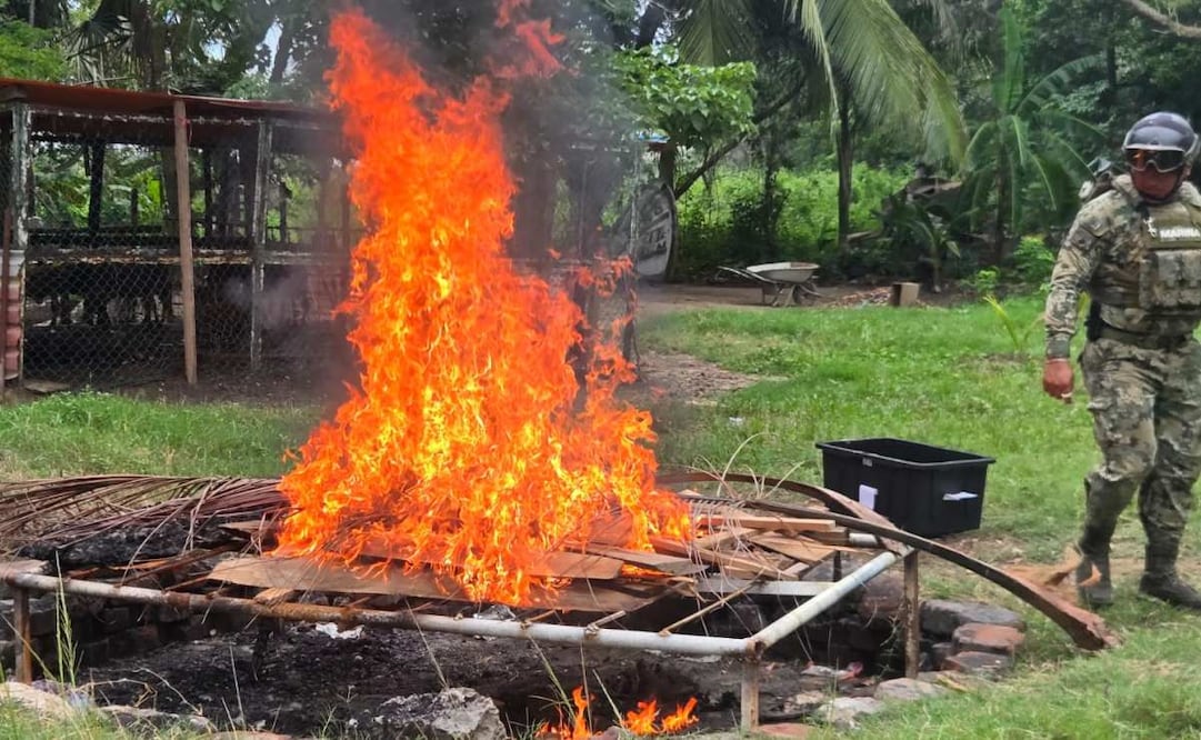 La Marina destruyó 45 artefactos explosivos improvisados y cuatro granadas asegurados en mayo durante un operativo de la Armada en conjunto con la FGR y la Policía Estatal en Tabasco. Foto: Especial