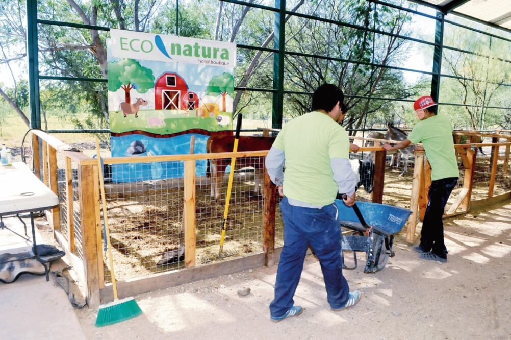 La Dirección de Seguridad Pública Municipal de Hermosillo determinó ese cambio con el fin de que la energía de los sancionados se canalice en trabajos en favor de la comunidad. (ALEJANDRO CARBAJAL)