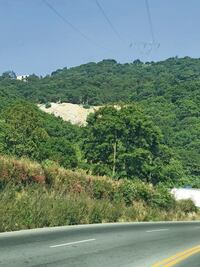 Por fuego, calculan pérdida de 888 hectáreas en Jilotzingo