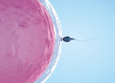 Espermatozoide, incapaz de producir un embarazo, en el momento del acto sexual