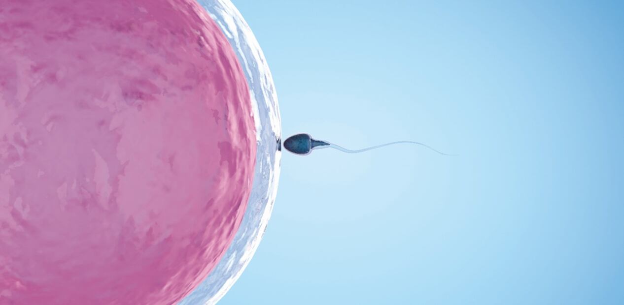 Infertilidad. Imagen: Archivo