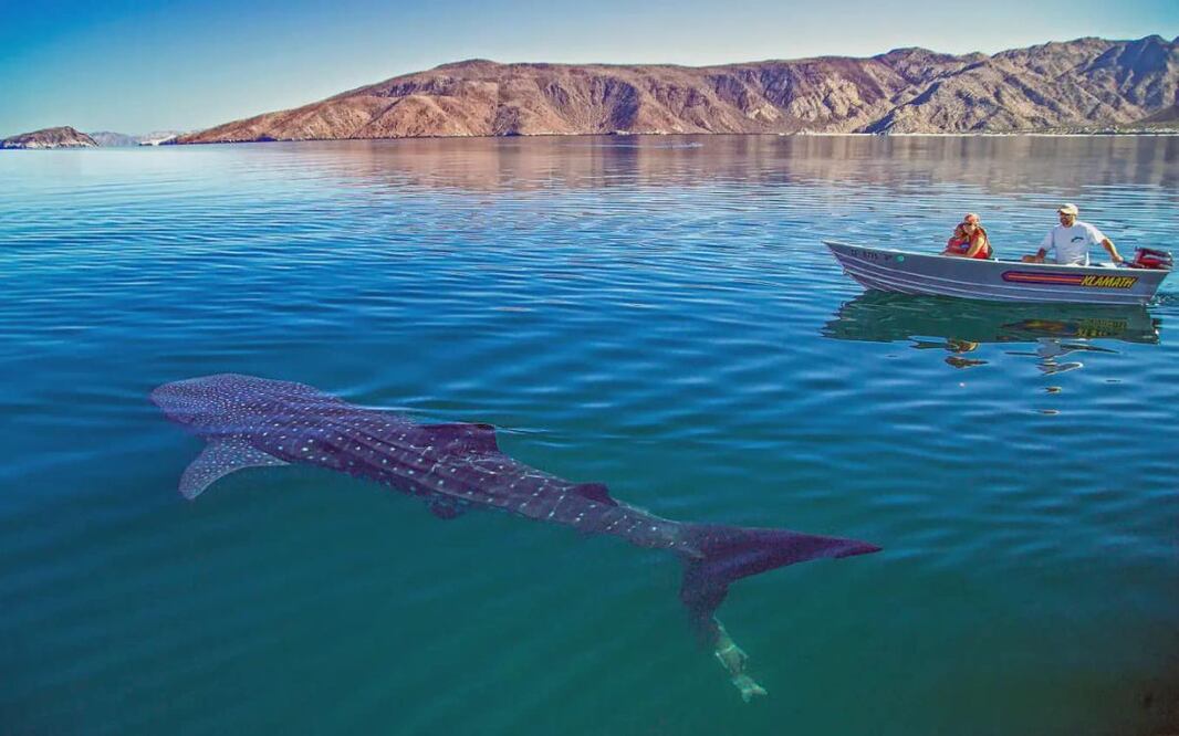 Foto: Sectur México