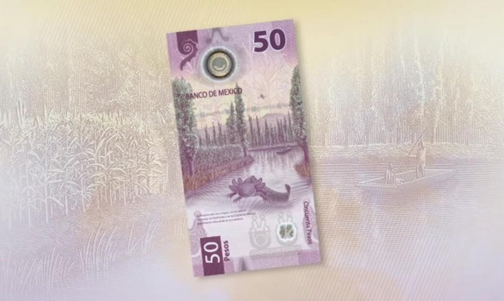 Visita los lugares que muestra el nuevo billete de 50 pesos