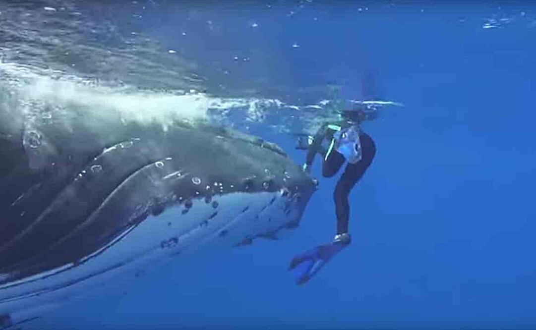 (Foto: Captura de pantalla)