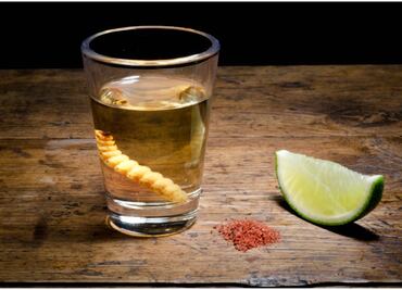 Primera edición del "Festival Sr. Y Sra. Mexcal" llega a Tepotzotlán