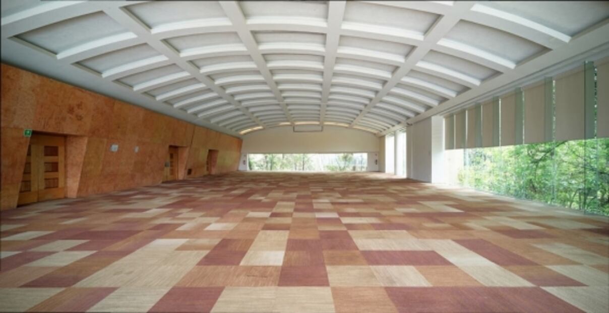 Esta propuesta cultural sustituirá al restaurante El Lago en Chapultepec