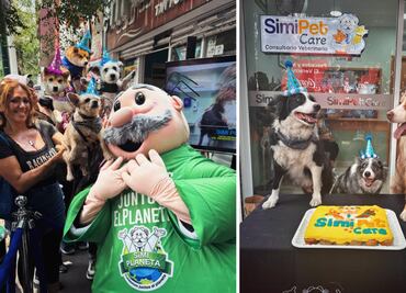 Veterinaria de Doctor Simi; ¿cuánto cuesta la consulta en SimiPet Care?