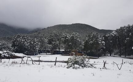 Se acumulan 30 centímetros de nieve en cerro El Potosí de Nuevo León