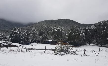 Se acumulan 30 centímetros de nieve en cerro El Potosí de Nuevo León