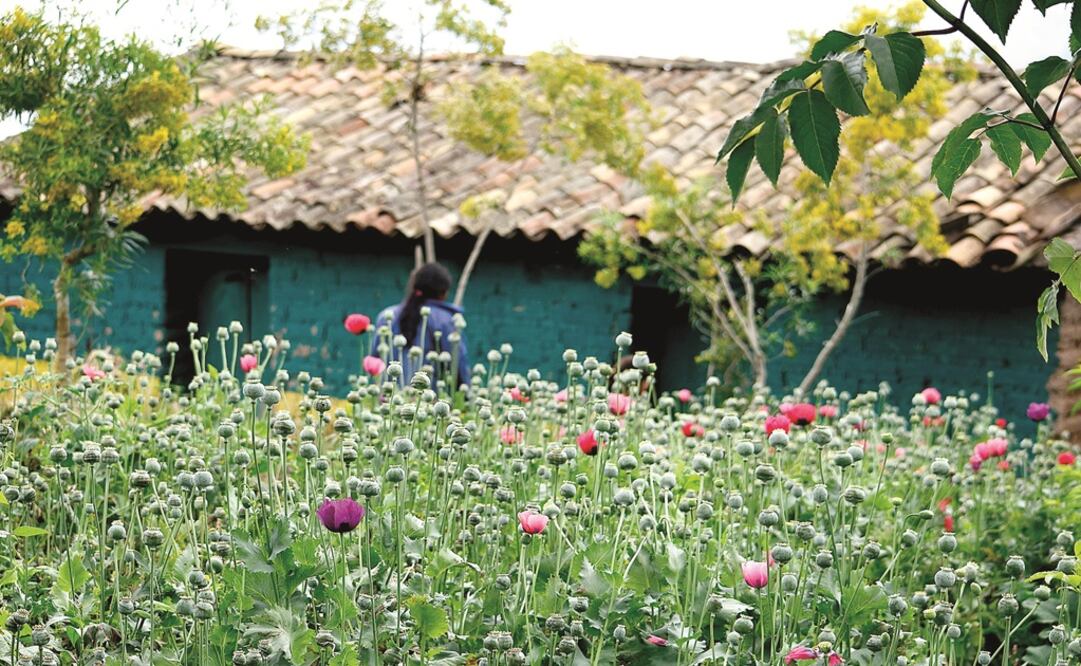 Foto: Archivo/ EL UNIVERSAL                                   