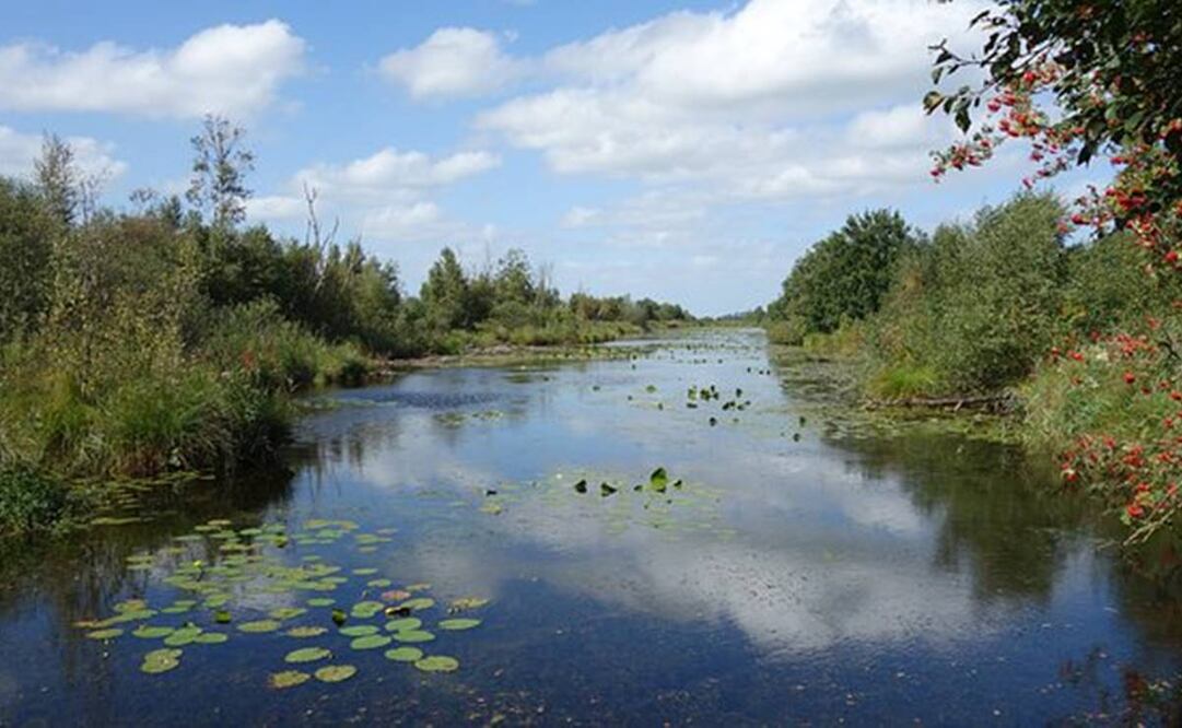 Conservación de las áreas naturales protegidas