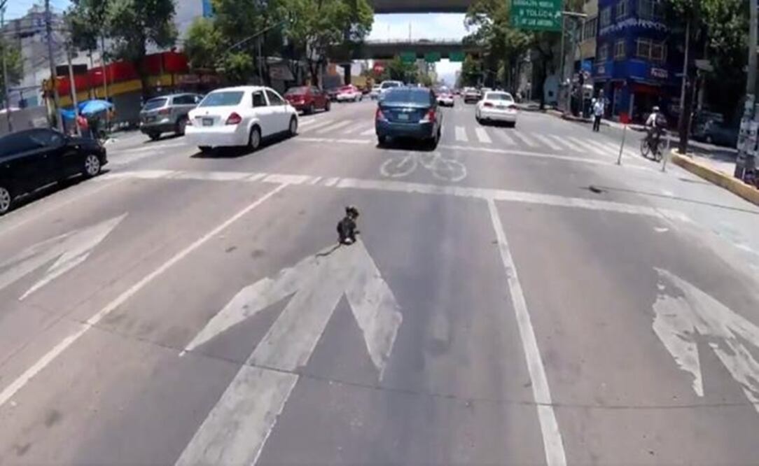 Foto: tomada del video