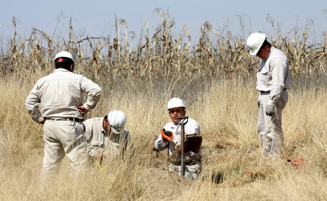 Foto: Archivo / Cuartoscuro